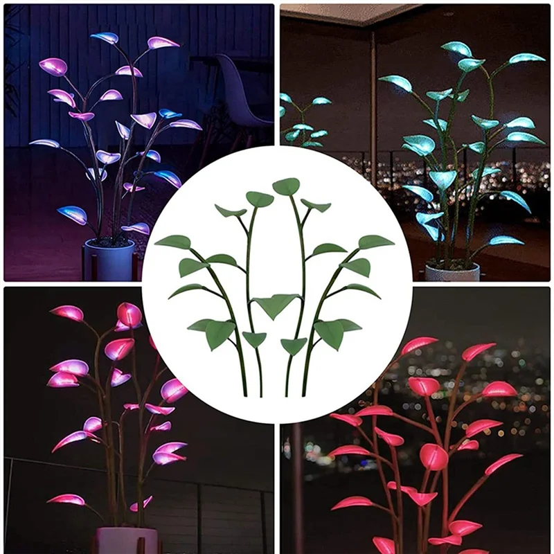 Flora