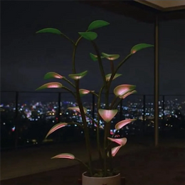 Flora