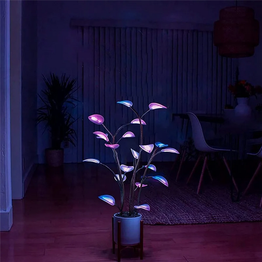 Flora