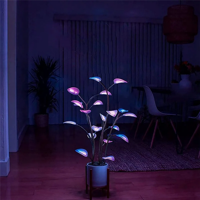 Flora