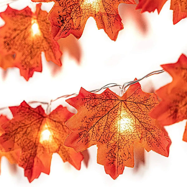 Close-up of lit maple leaves with printed veins