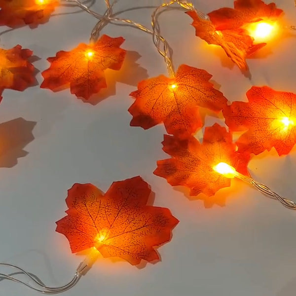 Lit maple leaves and clear wire on a table, close-up