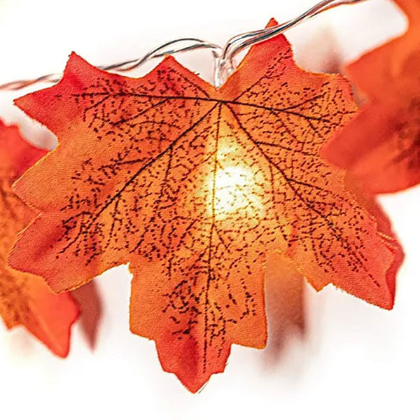 A single lit maple leaf, close-up of the printed veins