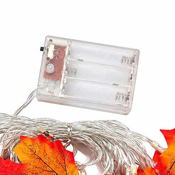 The clear battery box with three battery slots and a slide switch