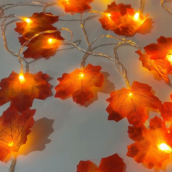 Lit maple leaves and clear wire, close-up from above